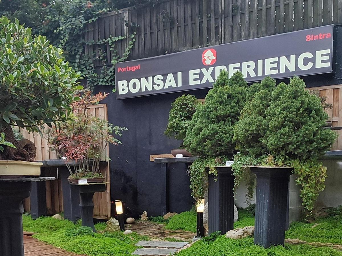 Zen Museu do Bonsai Sintra Exterior foto
